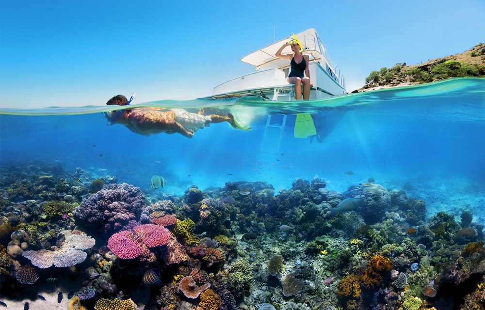 เมืองท่องเที่ยวยอดนิยม อยู่ใกล้กับหมู่ปะการัง ชื่อดังระดับโลก Great Barrier Reef